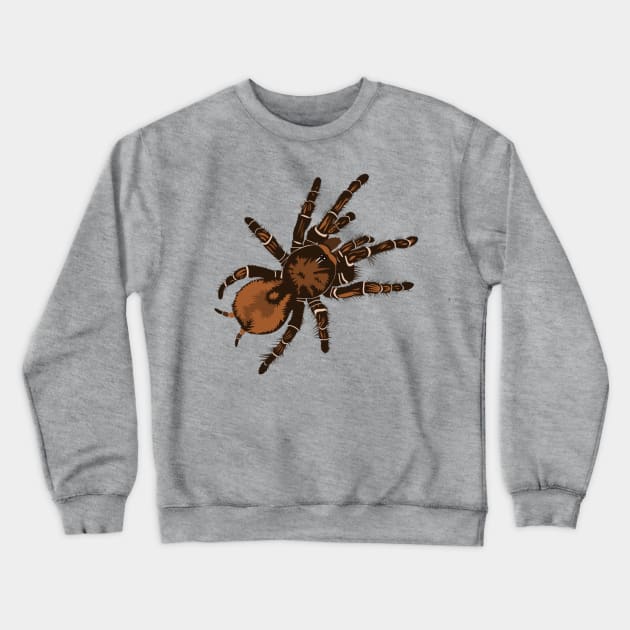 Goliath Bird Eating Spider Crewneck Sweatshirt by stargatedalek